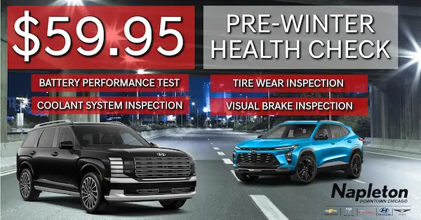Pre-Winter Health Check